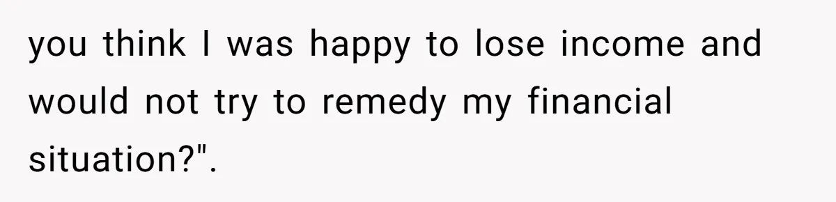 you think I was happy to lose income and would not try to remedy my financial situation?".