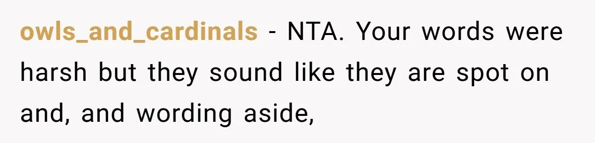 owls_and_cardinals − NTA. Your words were harsh but they sound like they are spot on and, and wording aside,