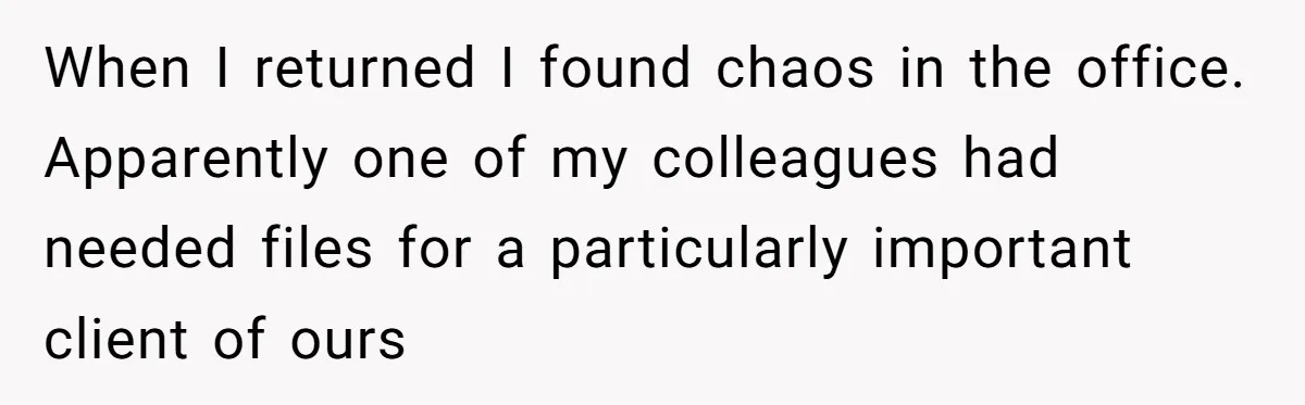 When I returned I found chaos in the office. Apparently one of my colleagues had needed files for a particularly important client of ours