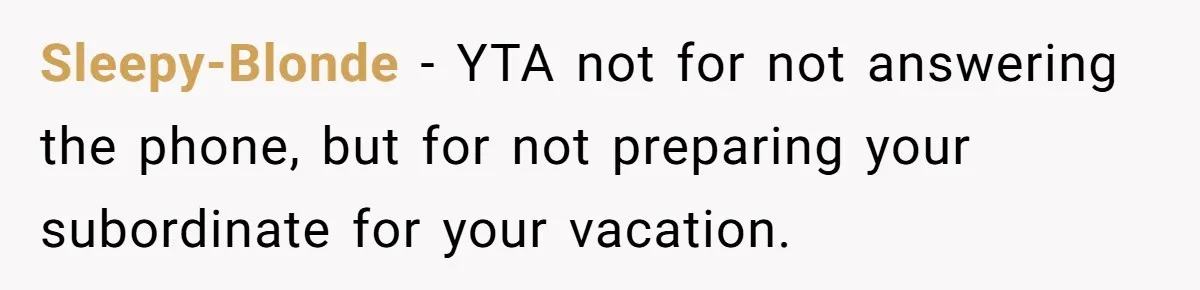Sleepy-Blonde − YTA not for not answering the phone, but for not preparing your subordinate for your vacation.