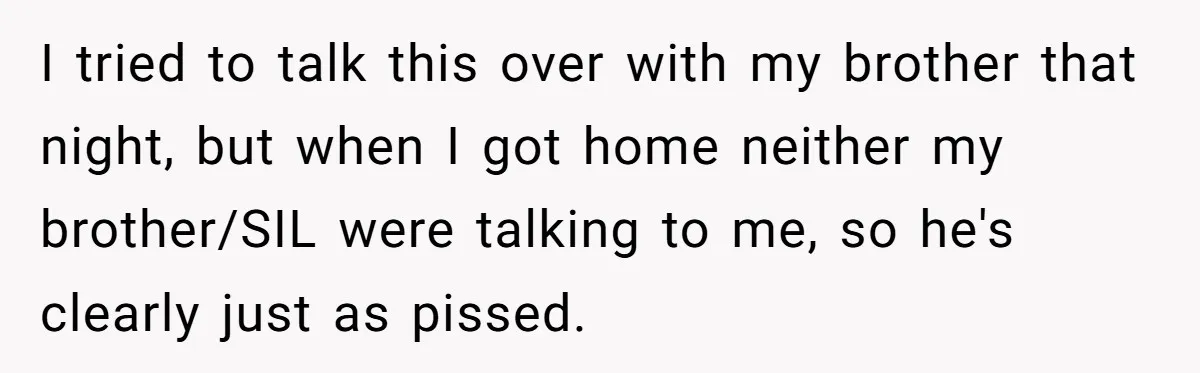 I tried to talk this over with my brother that night, but when I got home neither my brother/SIL were talking to me, so he's clearly just as pissed.