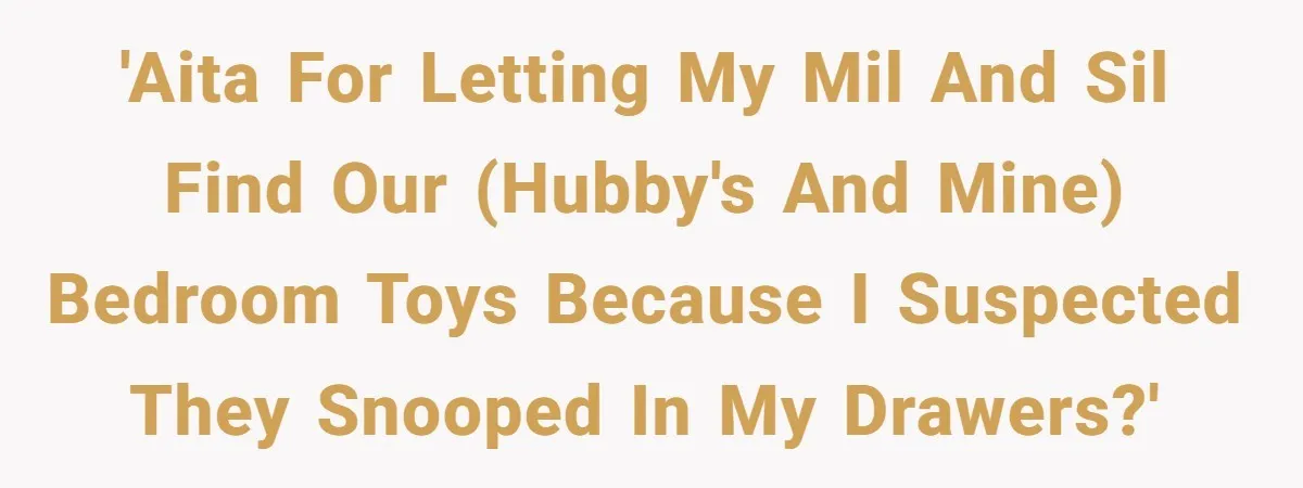 'AITA for letting my MIL and SIL find our (hubby's and mine) bedroom toys because I suspected they snooped in my drawers?'