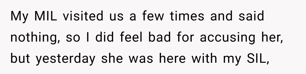 My MIL visited us a few times and said nothing, so I did feel bad for accusing her, but yesterday she was here with my SIL,