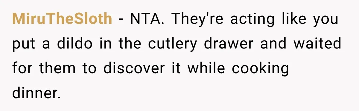MiruTheSloth − NTA. They're acting like you put a dildo in the cutlery drawer and waited for them to discover it while cooking dinner.