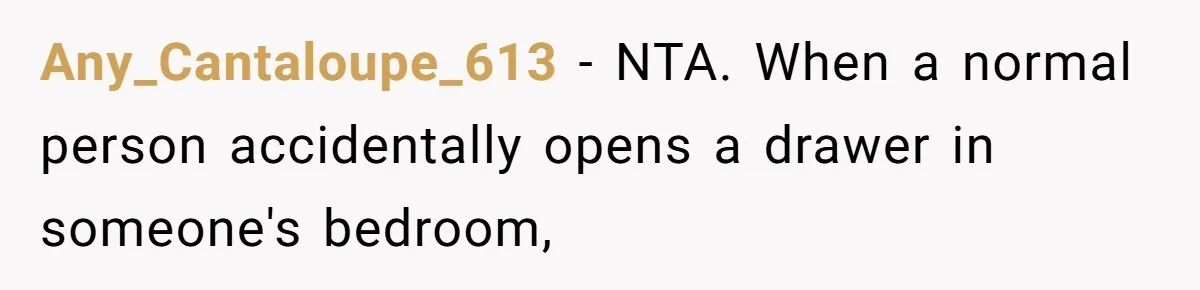 Any_Cantaloupe_613 − NTA. When a normal person accidentally opens a drawer in someone's bedroom,