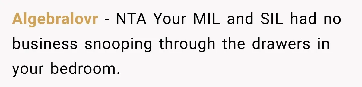 Algebralovr − NTA Your MIL and SIL had no business snooping through the drawers in your bedroom.