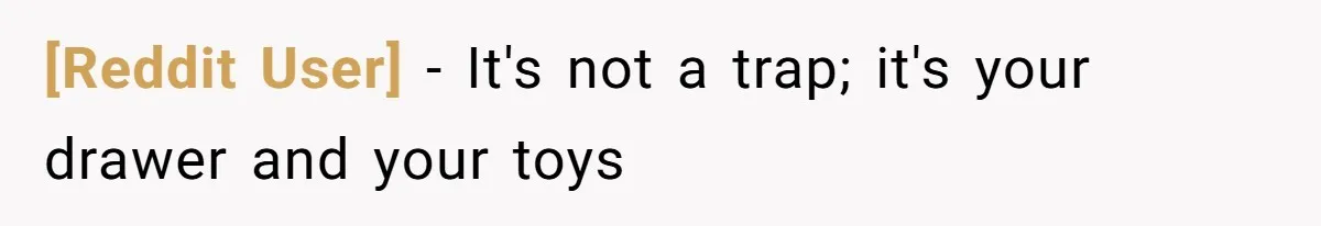 [Reddit User] − It's not a trap; it's your drawer and your toys