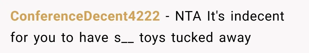 ConferenceDecent4222 − NTA It's indecent for you to have s__ toys tucked away