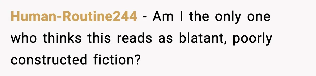 Human-Routine244 - Am I the only one who thinks this reads as blatant, poorly constructed fiction?