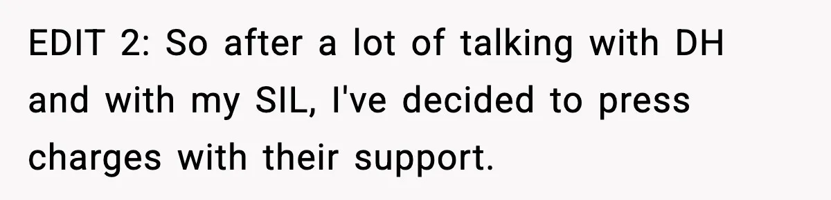 EDIT 2: So after a lot of talking with DH and with my SIL, I've decided to press charges with their support.