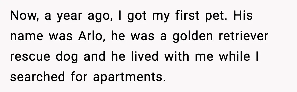 Now, a year ago, I got my first pet. His name was Arlo, he was a golden retriever rescue dog and he lived with me while I searched for apartments.
