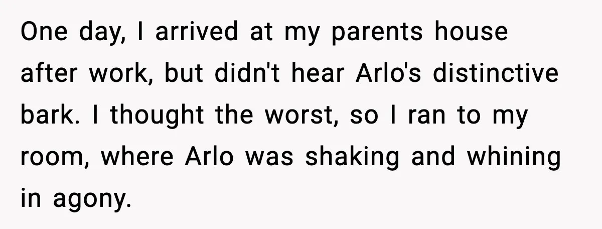 One day, I arrived at my parents house after work, but didn't hear Arlo's distinctive bark. I thought the worst, so I ran to my room, where Arlo was shaking...