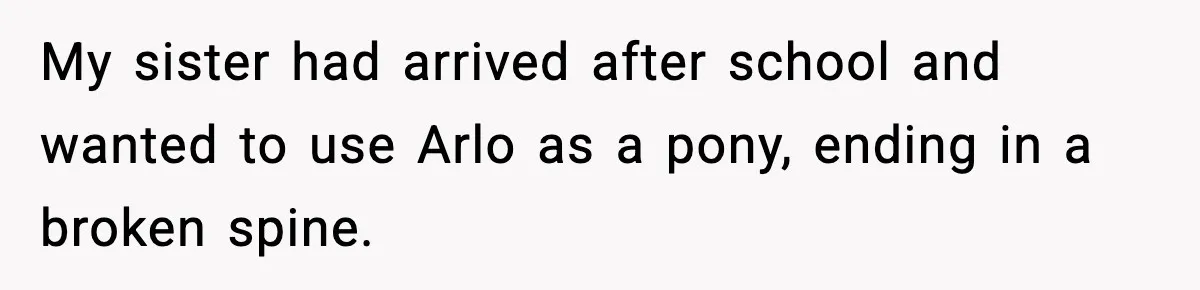 My sister had arrived after school and wanted to use Arlo as a pony, ending in a broken spine.