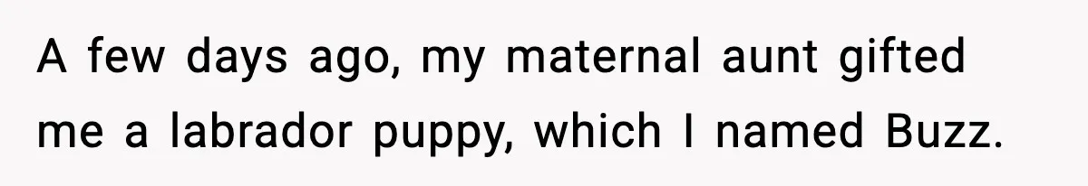 A few days ago, my maternal aunt gifted me a labrador puppy, which I named Buzz.