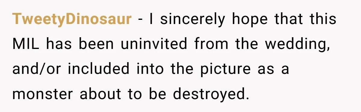 TweetyDinosaur − I sincerely hope that this MIL has been uninvited from the wedding, and/or included into the picture as a monster about to be destroyed.