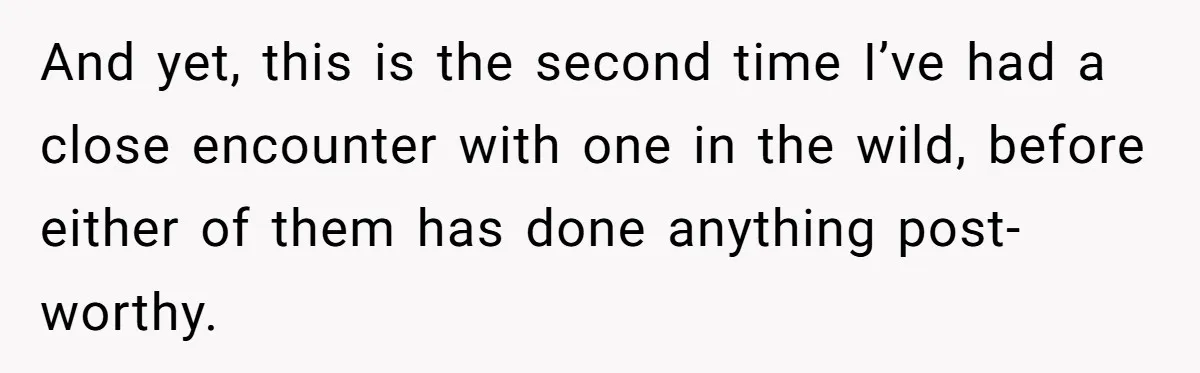 And yet, this is the second time I’ve had a close encounter with one in the wild, before either of them has done anything post-worthy.