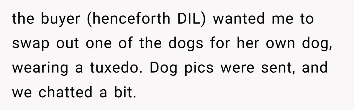 the buyer (henceforth DIL) wanted me to swap out one of the dogs for her own dog, wearing a tuxedo. Dog pics were sent, and we chatted a bit.
