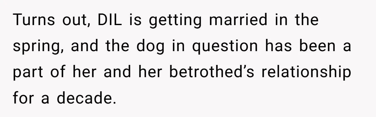 Turns out, DIL is getting married in the spring, and the dog in question has been a part of her and her betrothed’s relationship for a decade.