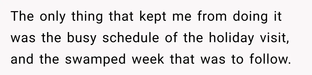 The only thing that kept me from doing it was the busy schedule of the holiday visit, and the swamped week that was to follow.