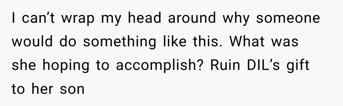 I can’t wrap my head around why someone would do something like this. What was she hoping to accomplish? Ruin DIL’s gift to her son