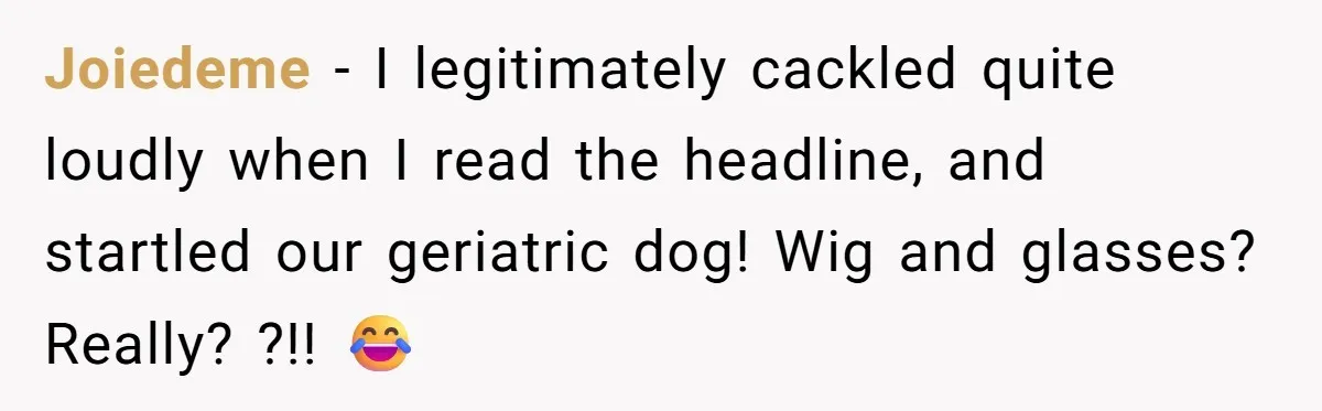 Joiedeme − I legitimately cackled quite loudly when I read the headline, and startled our geriatric dog! Wig and glasses? Really? ?!! 😂