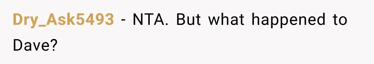 Dry_Ask5493 − NTA. But what happened to Dave?