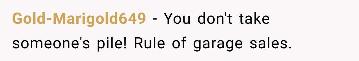 Gold-Marigold649 − You don't take someone's pile! Rule of garage sales.