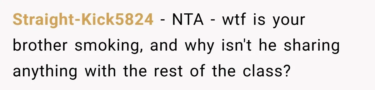 Straight-Kick5824 − NTA - wtf is your brother smoking, and why isn't he sharing anything with the rest of the class?
