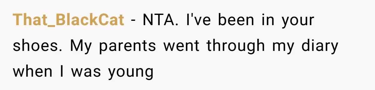 That_BlackCat − NTA. I've been in your shoes. My parents went through my diary when I was young