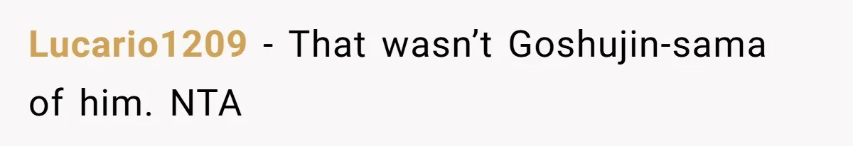 Lucario1209 − That wasn’t Goshujin-sama of him. NTA