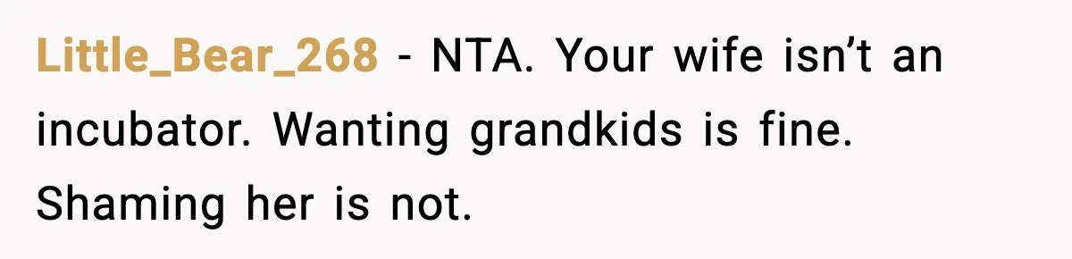 Little_Bear_268 - NTA. Your wife isn’t an incubator. Wanting grandkids is fine. Shaming her is not.