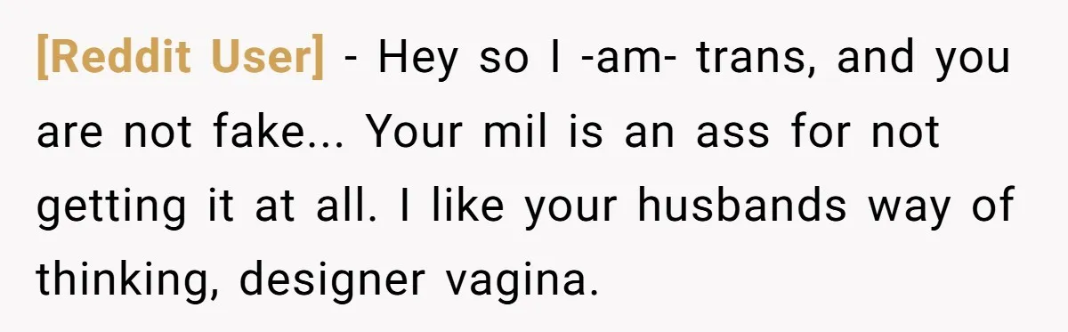 [Reddit User] − Hey so I -am- trans, and you are not fake... Your mil is an ass for not getting it at all. I like your husbands way of...