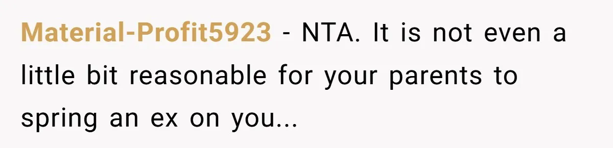 Material-Profit5923 − NTA. It is not even a little bit reasonable for your parents to spring an ex on you...