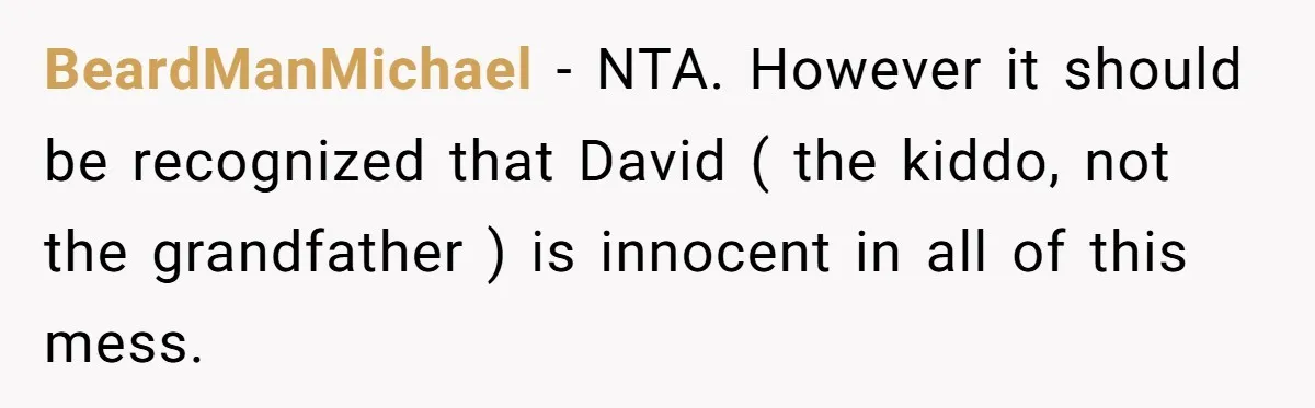 BeardManMichael − NTA. However it should be recognized that David ( the kiddo, not the grandfather ) is innocent in all of this mess.