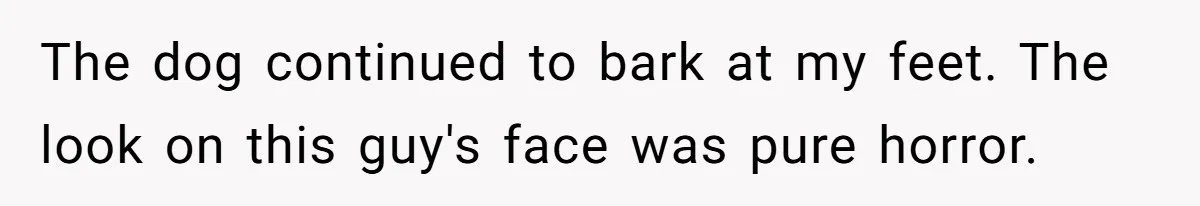The dog continued to bark at my feet. The look on this guy's face was pure horror.