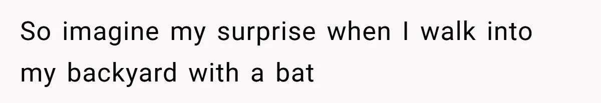 So imagine my surprise when I walk into my backyard with a bat