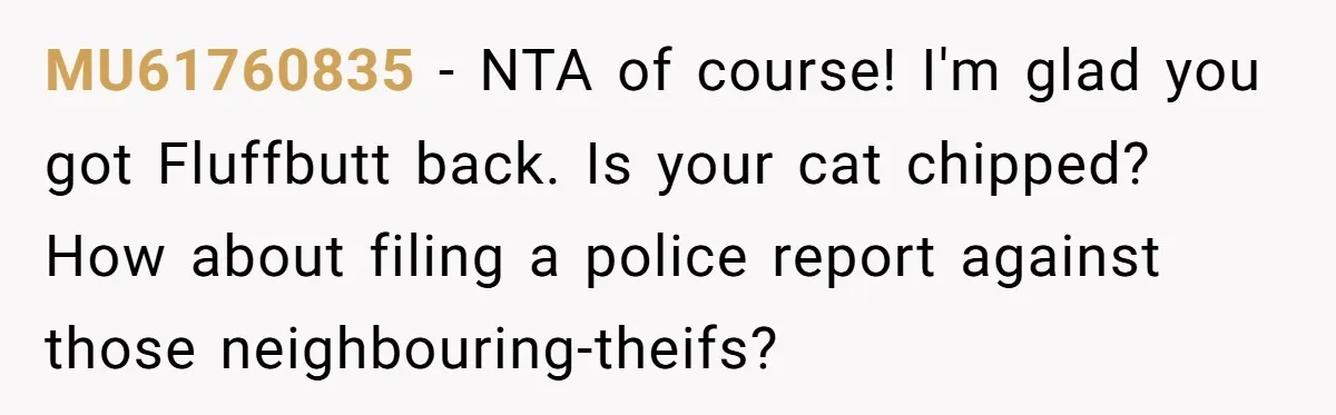 MU61760835 - NTA of course! I'm glad you got Fluffbutt back. Is your cat chipped? How about filing a police report against those neighbouring-theifs?