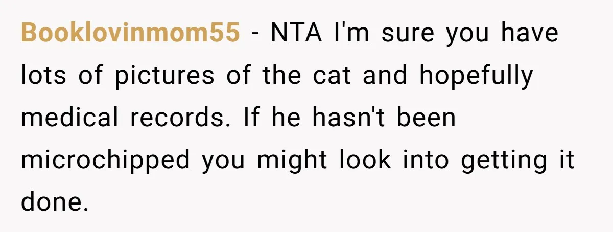 Booklovinmom55 - NTA I'm sure you have lots of pictures of the cat and hopefully medical records. If he hasn't been microchipped you might look into getting it done.