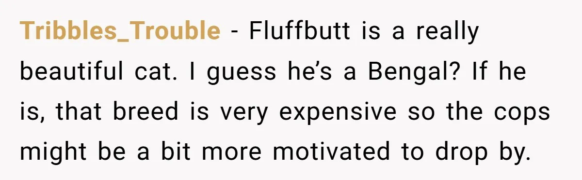 Tribbles_Trouble - Fluffbutt is a really beautiful cat. I guess he’s a Bengal? If he is, that breed is very expensive so the cops might be a bit more motivated...