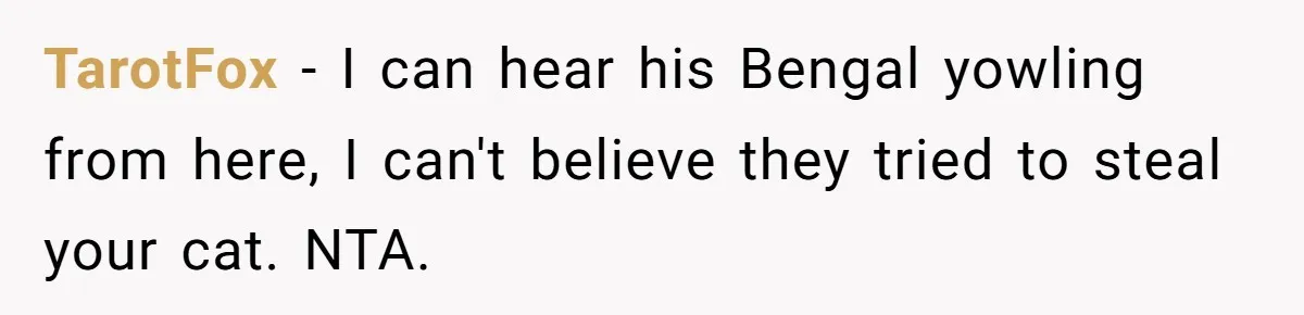 TarotFox - I can hear his Bengal yowling from here, I can't believe they tried to steal your cat. NTA.