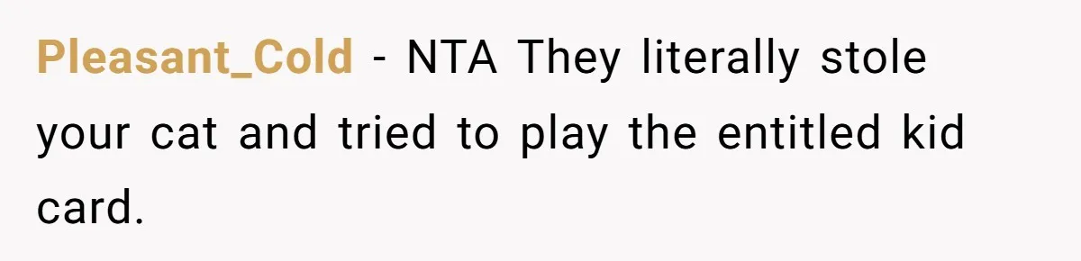 Pleasant_Cold - NTA They literally stole your cat and tried to play the entitled kid card.