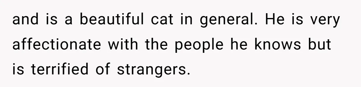 and is a beautiful cat in general. He is very affectionate with the people he knows but is terrified of strangers.