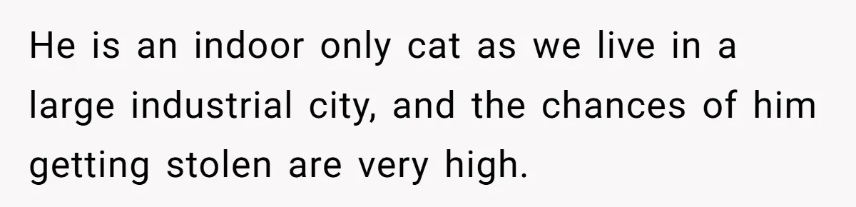 He is an indoor only cat as we live in a large industrial city, and the chances of him getting stolen are very high.