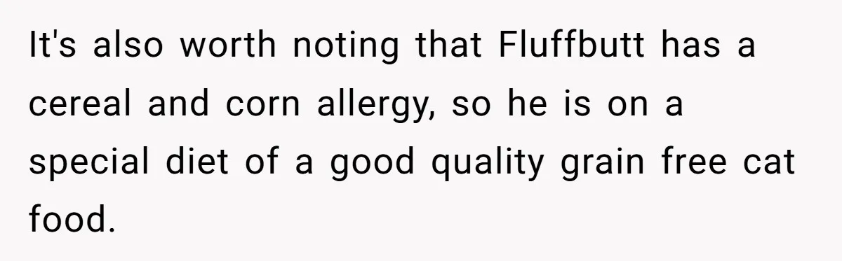 It's also worth noting that Fluffbutt has a cereal and corn allergy, so he is on a special diet of a good quality grain free cat food.