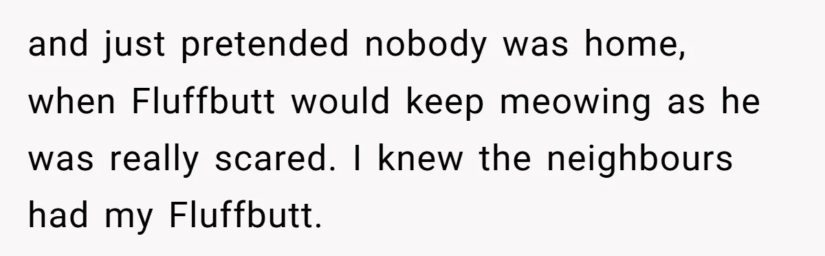 and just pretended nobody was home, when Fluffbutt would keep meowing as he was really scared. I knew the neighbours had my Fluffbutt.