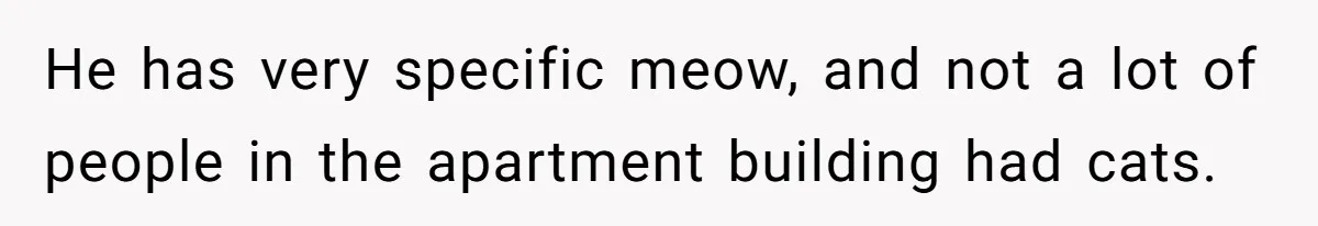 He has very specific meow, and not a lot of people in the apartment building had cats.