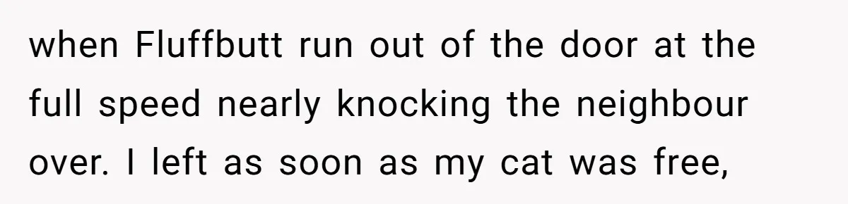 when Fluffbutt run out of the door at the full speed nearly knocking the neighbour over. I left as soon as my cat was free,