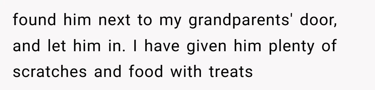 found him next to my grandparents' door, and let him in. I have given him plenty of scratches and food with treats