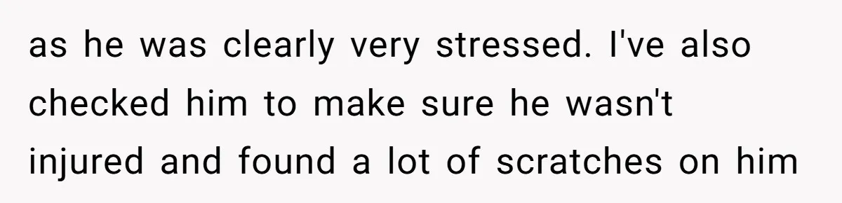 as he was clearly very stressed. I've also checked him to make sure he wasn't injured and found a lot of scratches on him