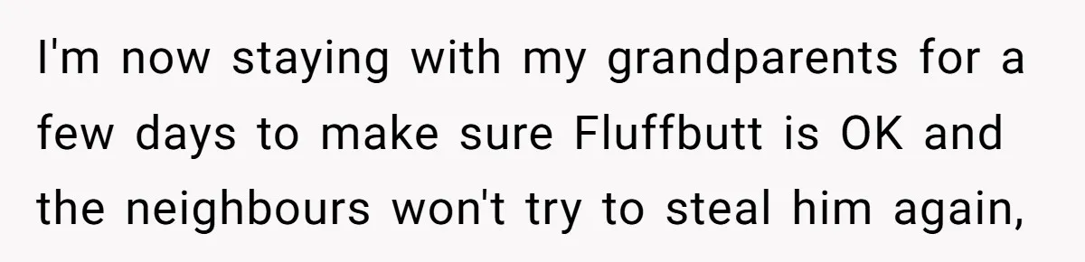 I'm now staying with my grandparents for a few days to make sure Fluffbutt is OK and the neighbours won't try to steal him again,